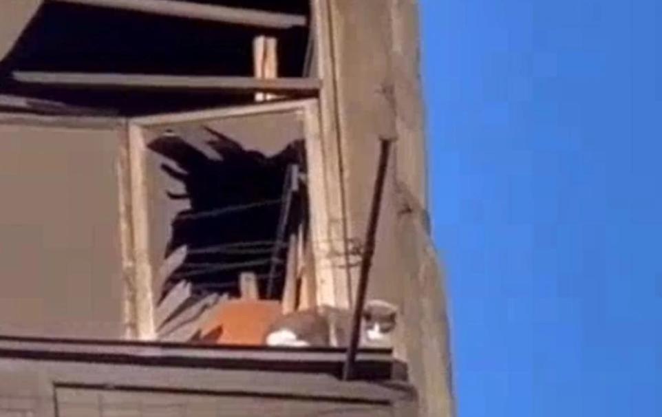 Стаття В Умані зі зруйнованого ракетним ударом будинку врятували котика: відео торкнулося мережі Ранкове місто. Київ