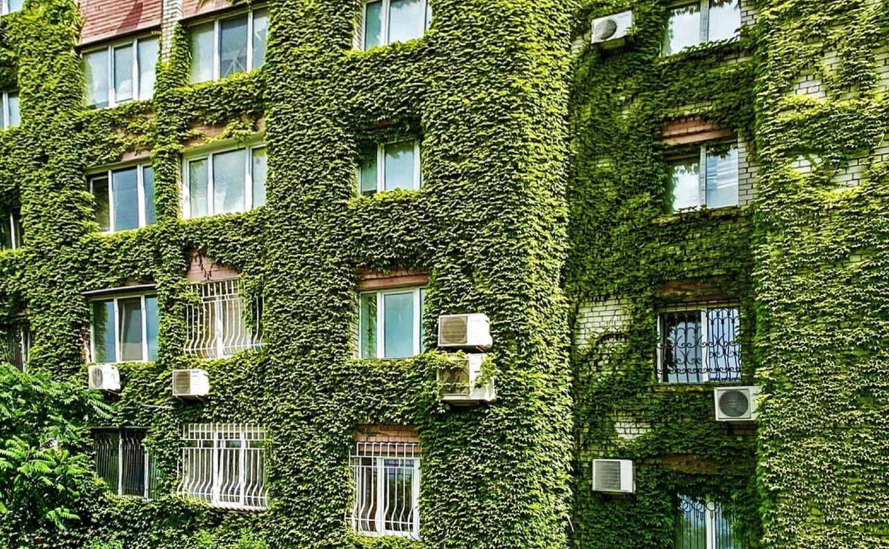 Стаття «Місто живих стін»: у Дарницькому районі пропагують вертикальне озеленення будинків Ранкове місто. Київ