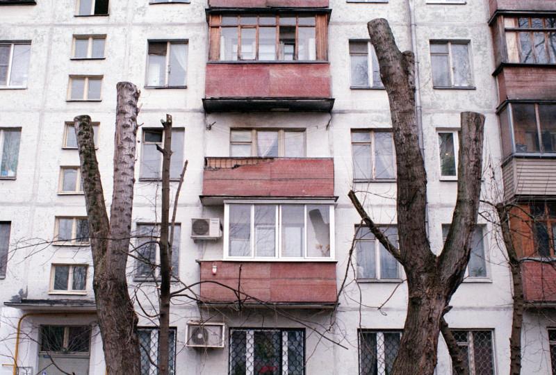 Стаття Без омолоджувальної обрізки крон: озеленювачі отримали нові рекомендації догляду за деревами Ранкове місто. Київ