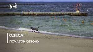 Стаття В Одесі облаштовують муніципальні пляжі: правила користування (фото) Ранкове місто. Київ