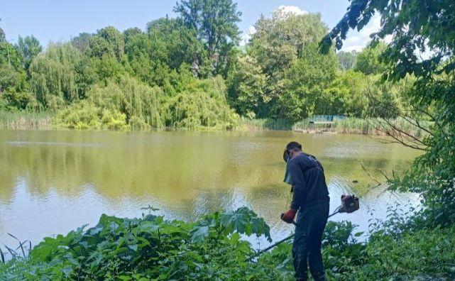 Стаття Отруйні рослини викошують у київському нацпарку Ранкове місто. Київ