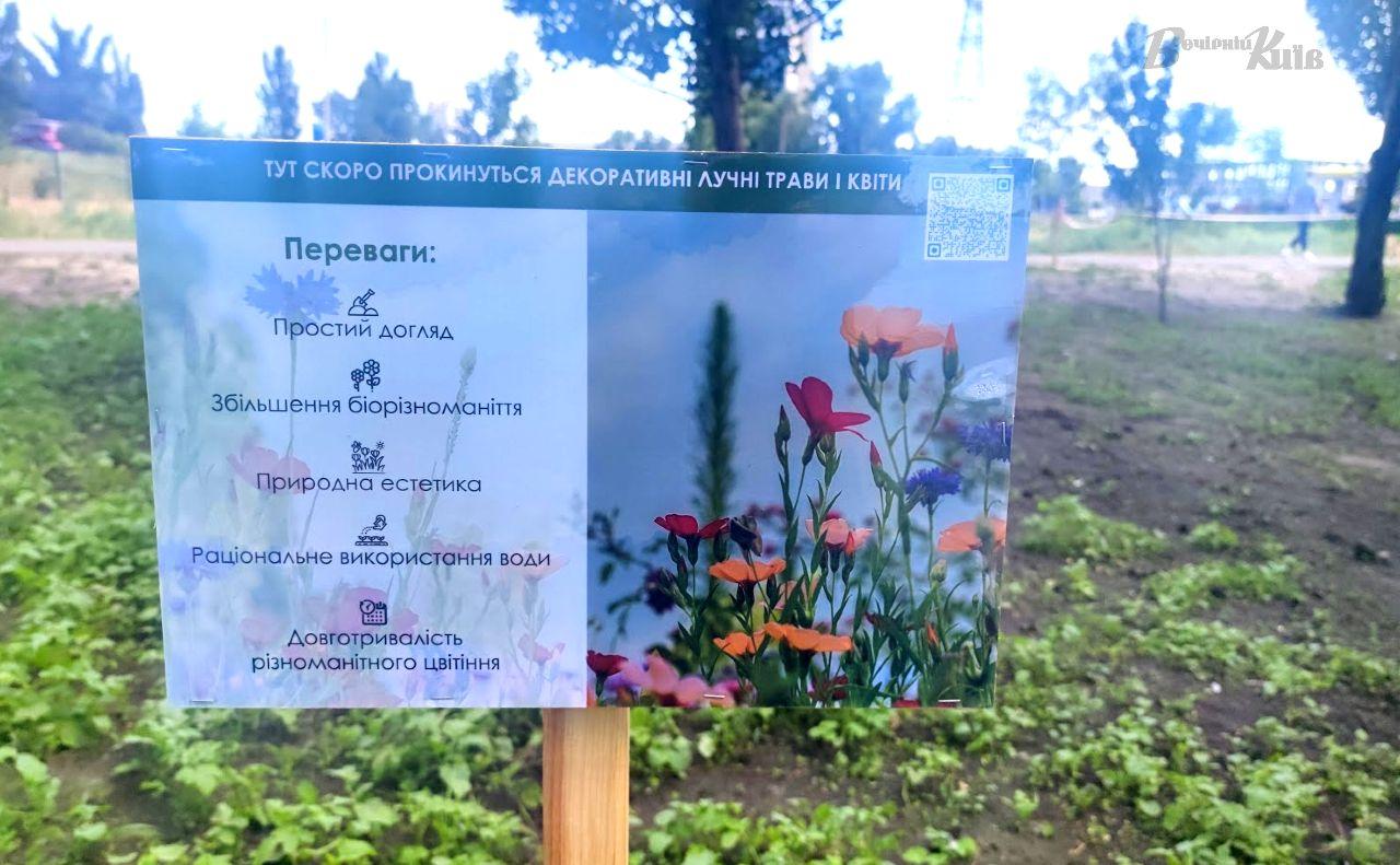 Стаття У Києві засіяли 25 ділянок спеціальних квітів та трав Ранкове місто. Київ