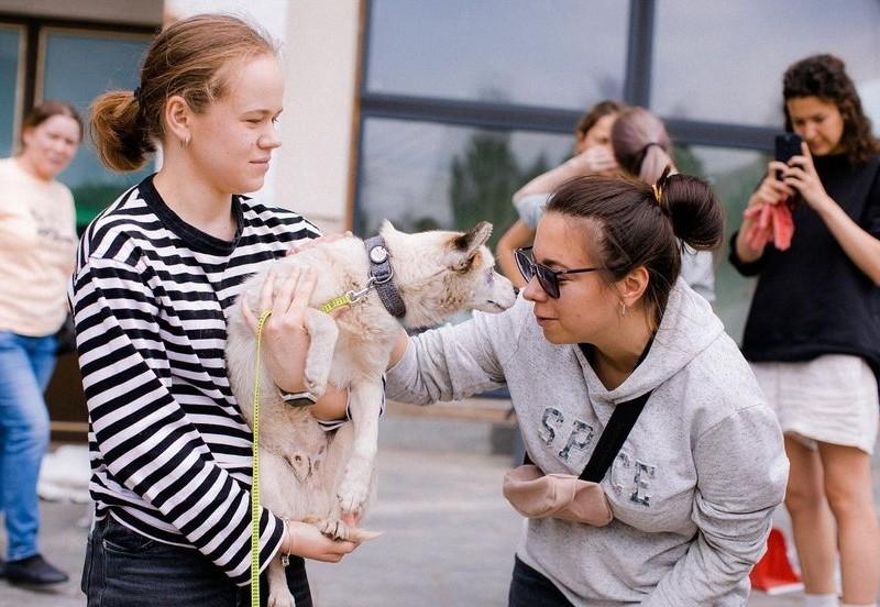 Стаття Центр адопції Patron Pets Center на ВДНГ надає допомогу та прихисток тваринам з Херсонщини Ранкове місто. Київ