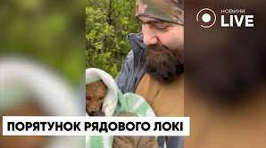 Стаття Захисники врятували життя лисеня на Донеччині (ВІДЕО) Ранкове місто. Київ