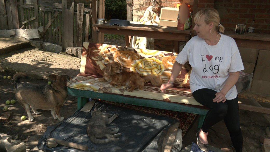 Стаття Жителька Краматорська врятувала понад 70 тварин і мріє створити притулок Ранкове місто. Київ