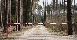 Стаття На території Донеччини діє заборона відвідування лісових масивів, - ДСНС Ранкове місто. Київ