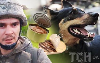 Стаття “Гідна того, щоб про неї знали”: як собака Жужа врятувала бійців ЗСУ на позиції в Бахмуті (фото) Ранкове місто. Київ