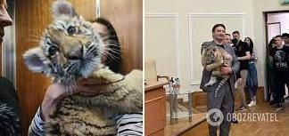 Стаття У московському цирку померло тигреня, яке росіяни вкрали із зоопарку Маріуполя. Фото Ранкове місто. Київ