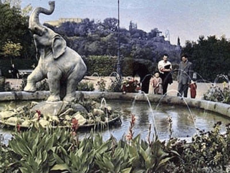 Стаття “Слона” зробили жертвою “дружби народів”: 50 років тому у Києві функціонував незвичайний фонтан Ранкове місто. Київ