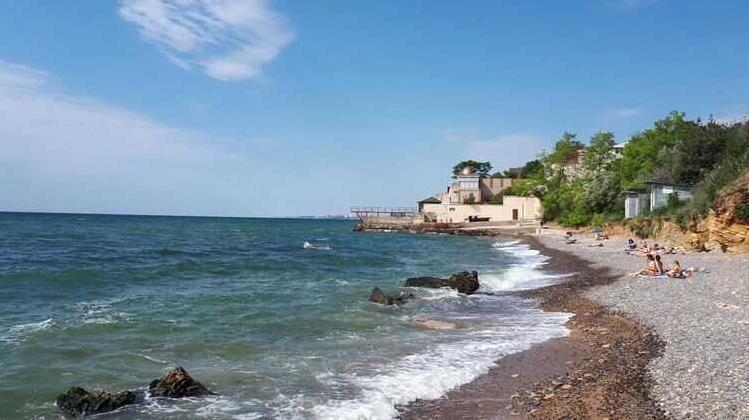 Стаття У Збройних силах України назвали недоречною пропозицію губернатора відкрити пляжі на Одещині Ранкове місто. Київ