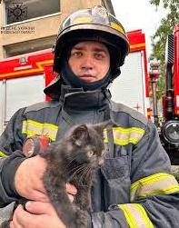 Стаття Під час гасінні пожежі в Одесі вдалось врятувати одну людину та 14 тварин (фото, відео) Ранкове місто. Київ
