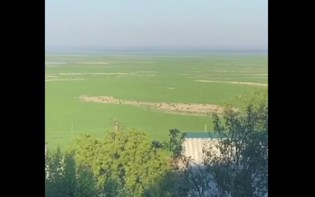 Стаття Там, де раніше були глибокі води, тепер рясніє густа зелена трава Ранкове місто. Київ