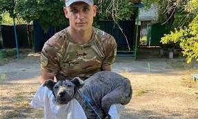 Стаття Поліціянти врятували хворого, знесиленого собаку в Кураховому Ранкове місто. Київ