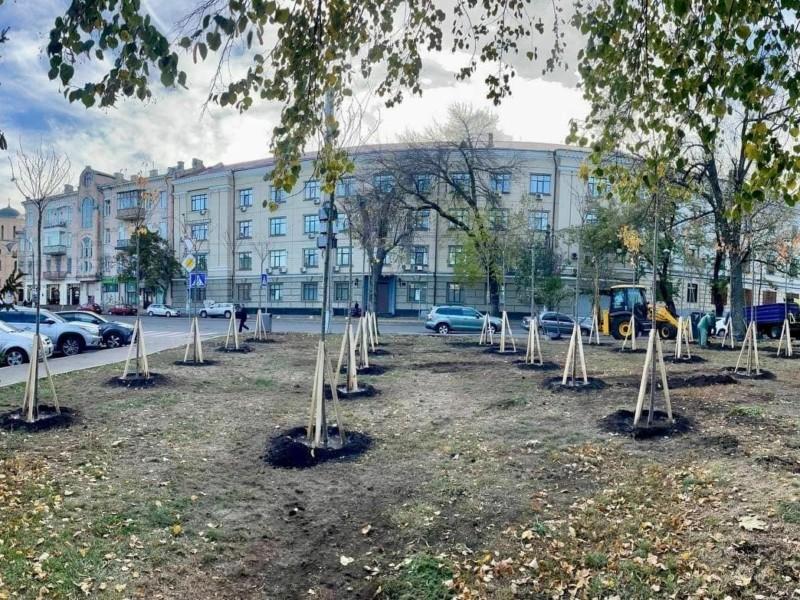 Стаття На Контрактовій площі висадили долину сакур Ранкове місто. Київ