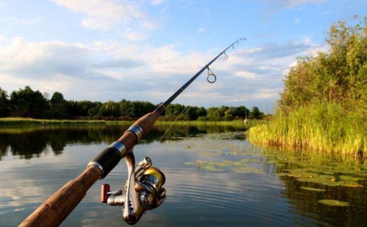 Стаття На Київщині з 1 листопада заборонять ловити рибу у зимувальних ямах Ранкове місто. Київ