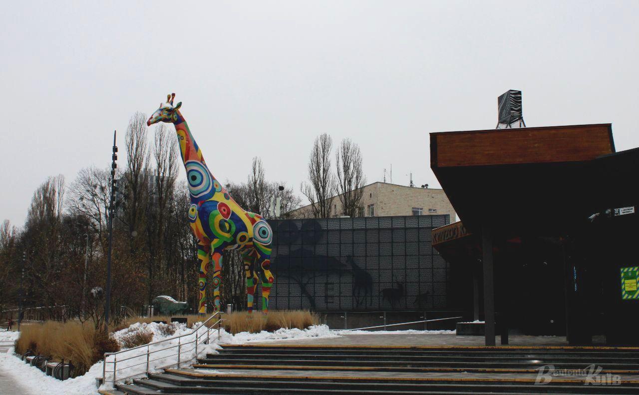 Стаття Тепло для чотирилапих друзів: як Київський зоопарк підготувався до зими Ранкове місто. Київ