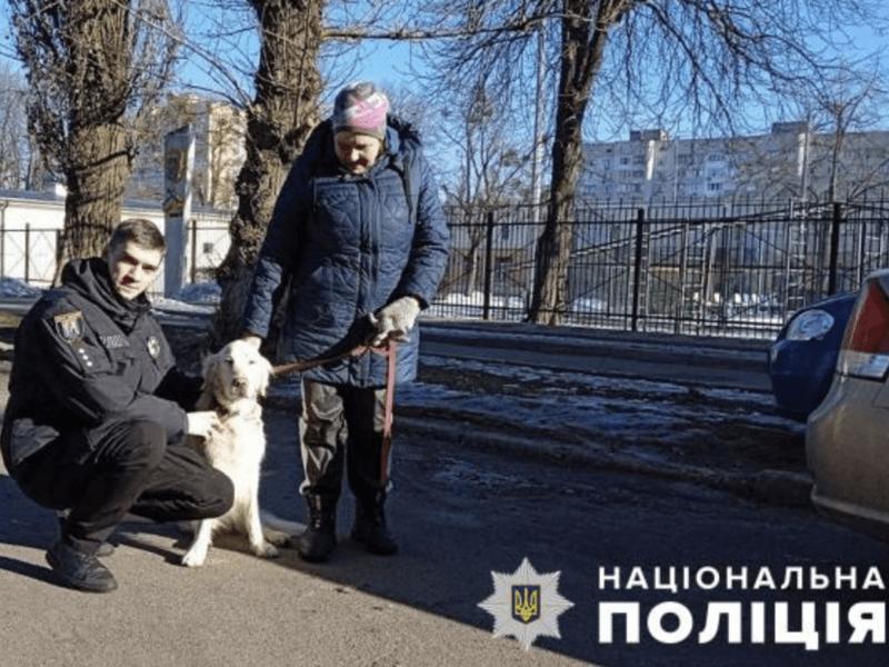 Стаття Сліпий та глухий пес знову вдома Ранкове місто. Київ
