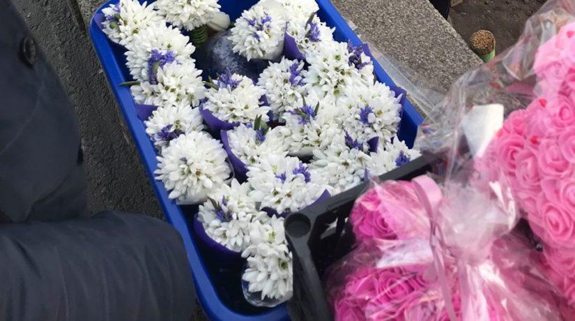 Стаття Під Києвом ловитимуть любителів весняних квітів Ранкове місто. Київ