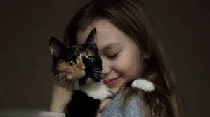Стаття В Одесі маленька дівчинка викликала поліцію, щоб врятувати свою кішку-втікачку – історія порятунку Ранкове місто. Київ