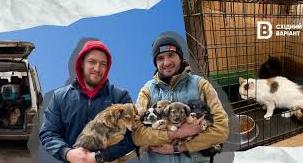 Стаття «Не можна забувати про тварин»: як волонтери евакуйовують тварин з Донеччини та допомагають ЗСУ Ранкове місто. Київ