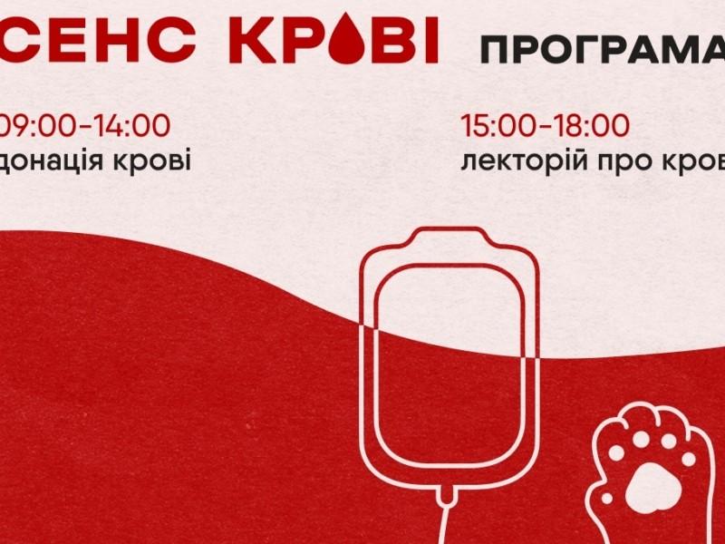Стаття На Хрещатику пройде “Сенс крові”: що це і чому важливо прийти Ранкове місто. Київ