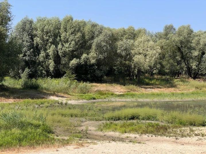 Стаття У висохле озеро Синє будуть скидати артезіанську воду Ранкове місто. Київ