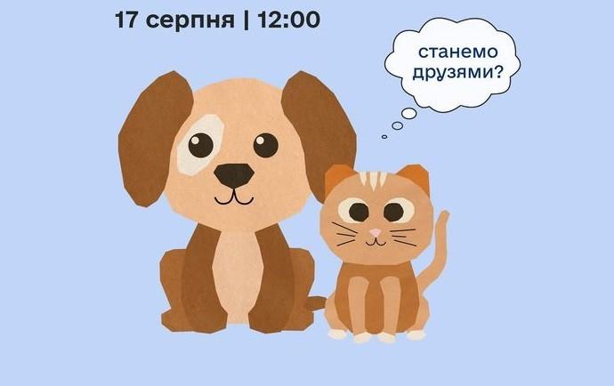 Стаття Про пухнастих і для пухнастих: у Києві відзначать День безпритульних тварин Ранкове місто. Київ