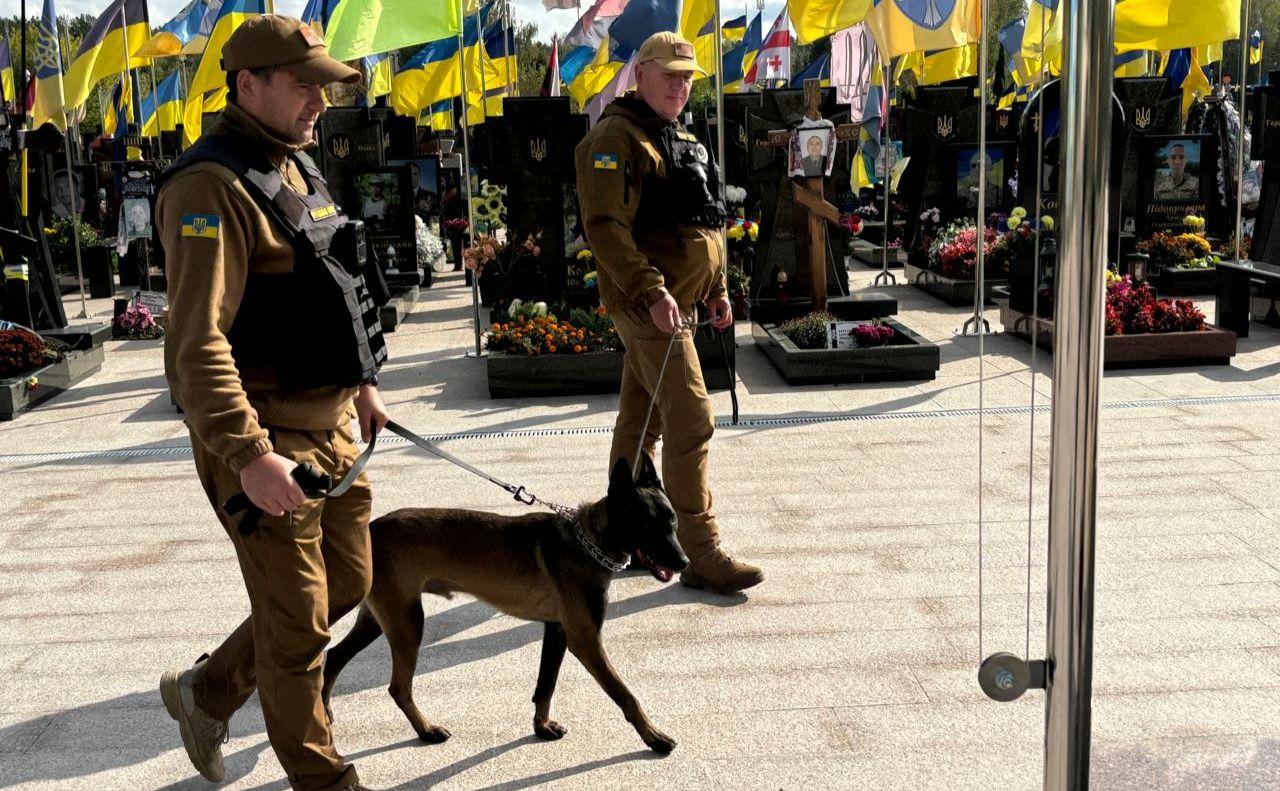 Стаття Вівчарка Оскар навела лад на Лісовому кладовищі у Києві Ранкове місто. Київ