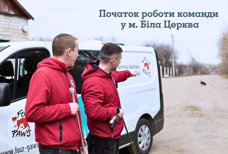 Стаття Увага! Мобільна команда буде стерилізувати і вакцинувати безпритульних тварин у Білій Церкві Ранкове місто. Київ