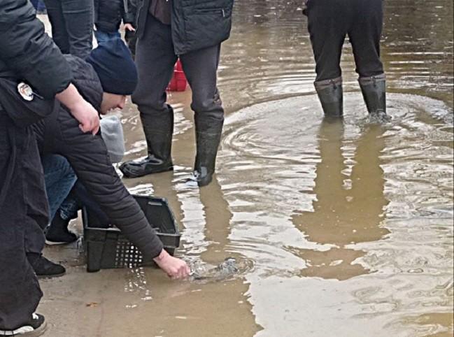 Стаття Столичне водосховище зарибили молодими коропами, товстолобами, білими амурами Ранкове місто. Київ